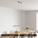 Calimera Designer Pendelleuchte